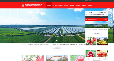 企業(yè)網(wǎng)站、程序軟件App解決方案